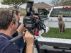 TVShows_synlawn_dog_brad