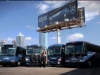 Greyhound_skyline